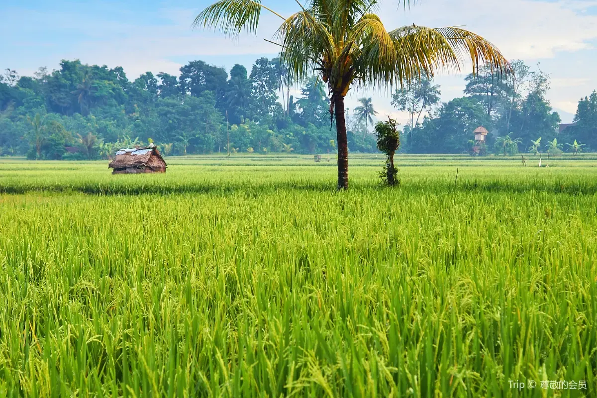 Tempat wisata di Ayung Rafting Ubud